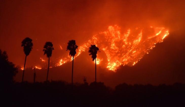 5 Years Since The Thomas Fire Devastated Ventura And Santa Barbara Counties